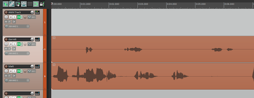 Naming convention for tracks
