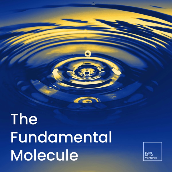 The Fundamental Molecule podcast artwork (Burnt Island Ventures)