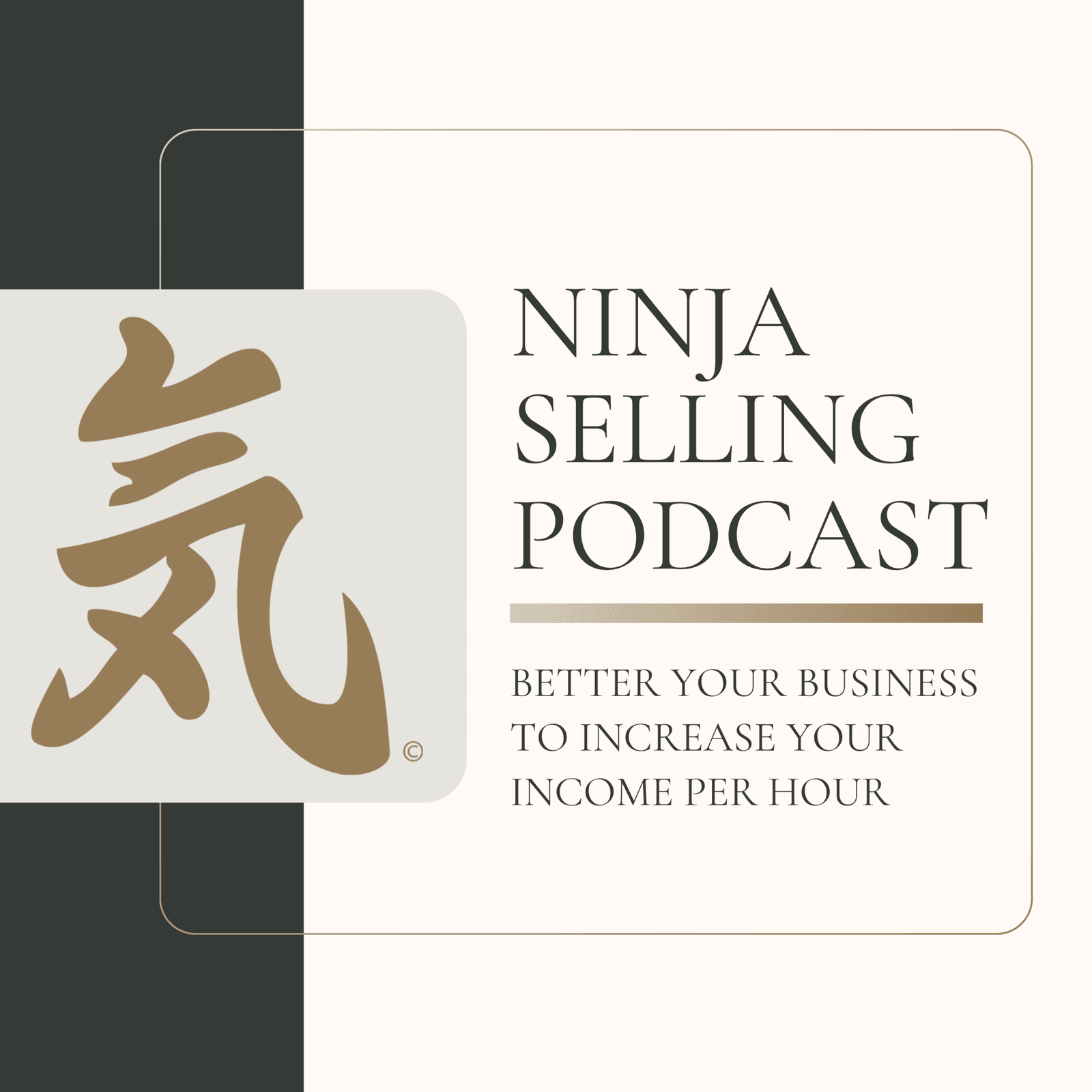 Ninja Selling show packaging